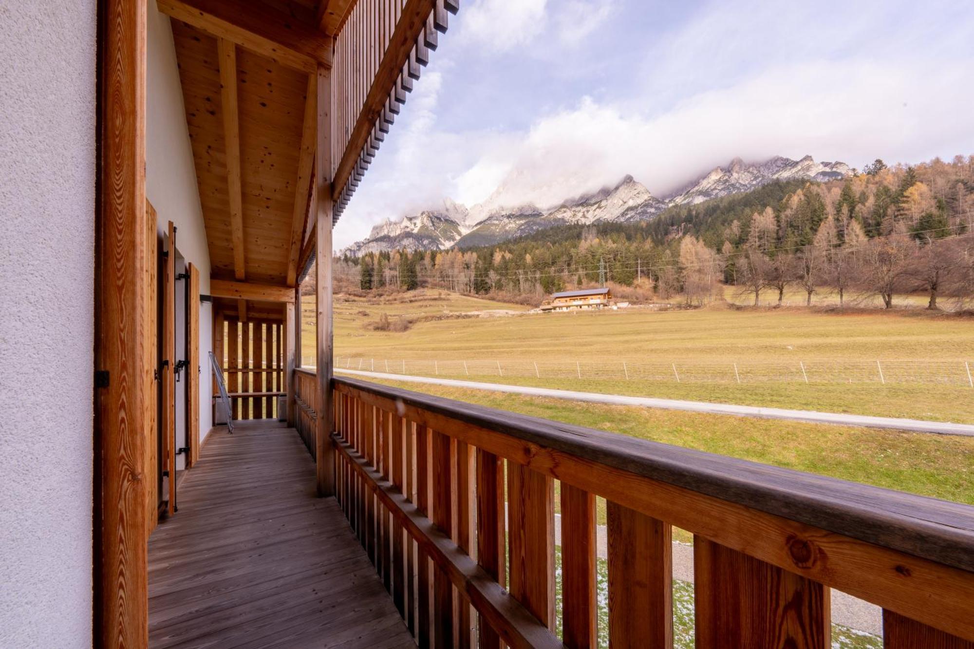Greenwood Chalet - Spacious Alpine Retreat With Mountain Views Vodo Cadore Zewnętrze zdjęcie